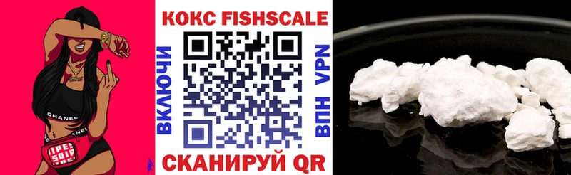 Кокаин Fish Scale  купить наркоту  Волосово 