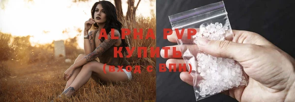 индика Балабаново