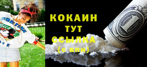 индика Балабаново