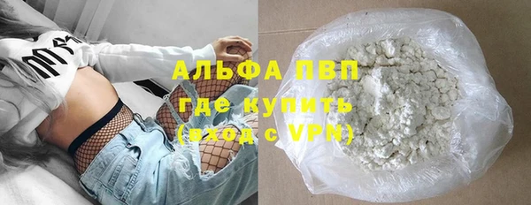 индика Балабаново