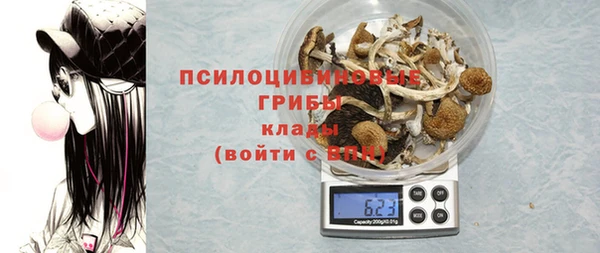 индика Балабаново