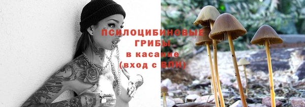 кокс Баксан