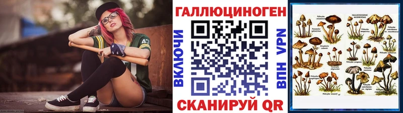 Галлюциногенные грибы Psilocybine cubensis  Волосово 