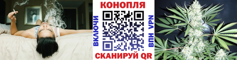 Марихуана семена  mega зеркало  Волосово 